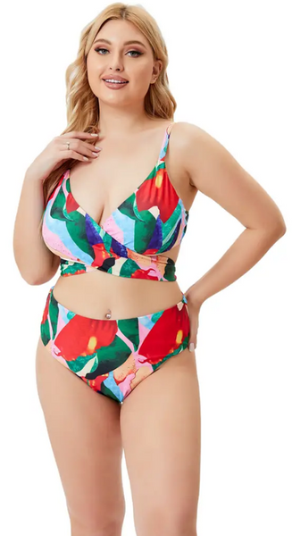 Plus Size Print Tie-up Bra, Underwear and Skirt Bikini Three Piece Set Multicolor